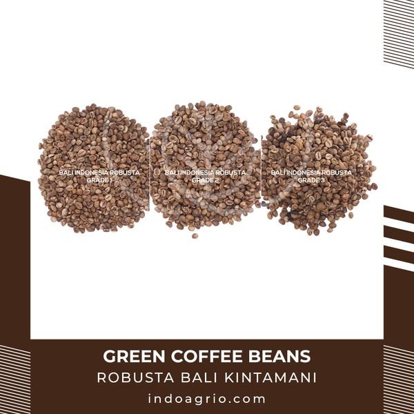 Coffee Beans - Robusta Bali Kintamani from 인도네시아 supplied by PT Agro Bumi Universal - Wet Polished 생원두