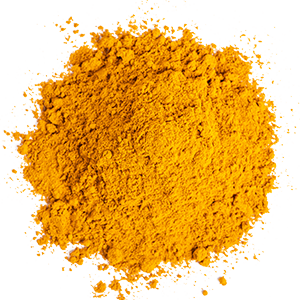 Turmeric from India supplied by Spice Essence International LLP - Polished Turmeric
