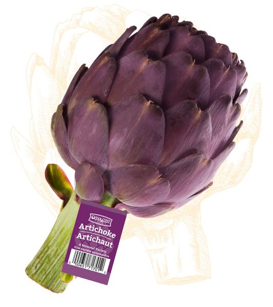 Artichokes Purple from 미국 supplied by Ocean Mist Farms - Purple 신선 아티초크