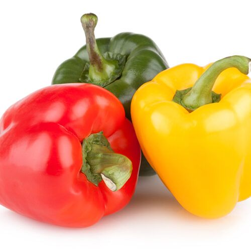 Fresh Whole Pepper from 스페인 supplied by S.A.T. Nº2457 SAN CAYETANO - ALPI - Whole 신선 피망