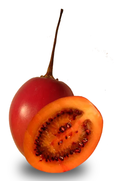 Tamarillo from 콜롬비아 supplied by Frutas Comerciales - Whole 타마릴로