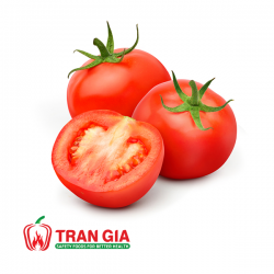 Tomato from 베트남 supplied by Tran Gia Agriculture and Food Company Ltd. - Crates & Bins 신선 토마토