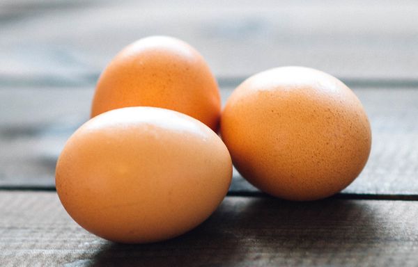 Egg from Brazil supplied by Coopeavi - Chicken Egg