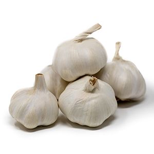 Garlic from 미국 supplied by I LOVE PRODUCE, LLC - Elephant Garlic 신선 마늘