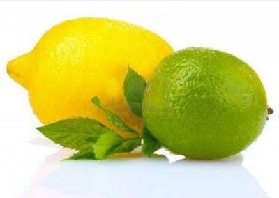 Lemon from 이집트 supplied by Sadat Agro- Fruit - Eureka 신선 레몬