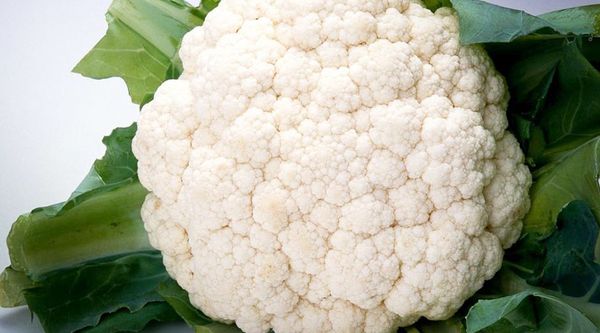 Fresh Cauliflower from 중국 supplied by Longhai Rongxing Foods Freezing Co., Ltd. - 성숙 콜리플라워 신선 콜리플라워