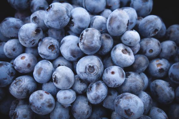 Blueberry from 포르투갈 supplied by Sevenberries, Lda - New Hanover 신선 블루베리