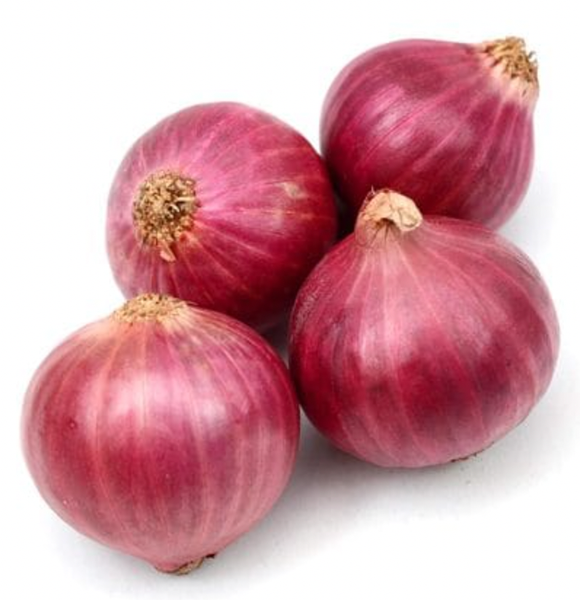 Fresh Onion from Switzerland supplied by Wüstefeld & Järmann - Whole Fresh Onion