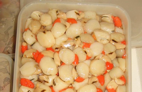 fresh scallops from 영국 supplied by Scotprime Seafoods Ltd - Southern Queen Scallop (=Zygochlamys delicatula=Delicate Scallop) 냉동 가리비