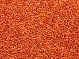 lentils from 캐나다 supplied by Mehsom Corp - Unhulled 말린 렌틸