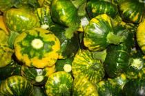 Tiger Squash from Guatemala supplied by Veguarc S.A - Green Squash