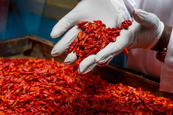Long Cayenne Chilli Dried from Kenya supplied by Mace Foods Company Limited - Ground Dried Whole Chili Pepper