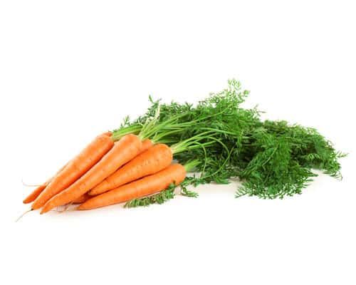 Carrot from 스페인 supplied by CIA Fru & Ver SL - Orange 신선 당근