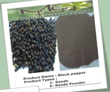 Black Pepper from Egypt supplied by MEDICAL GRASSES LAND CO. - Seed Whole Black Peppercorn