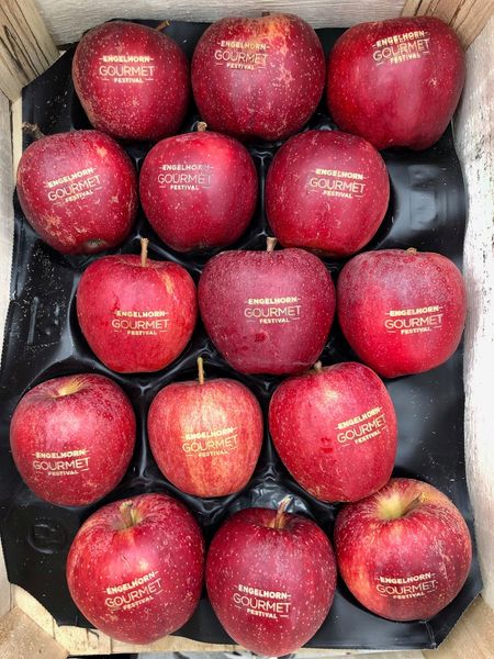 Fresh Apple from 독일 supplied by Herbert van der Hamm Fruchthandelsgesellschaft mbH - Belle de Boskoop 신선 사과