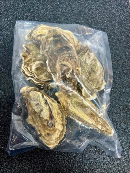 Scallop from 영국 supplied by Crab Company Scotland Ltd - Vacuum Packed (=VAC) 냉동 가리비