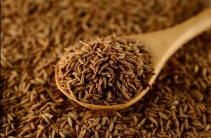 Cumin Seeds from 아랍 에미리트 연합국 supplied by ACME Global - Brown 커민 씨