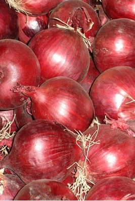 Fresh Onion from Netherlands supplied by MSP Uienhandel BV - Fresh (=Chilled) Fresh Onion