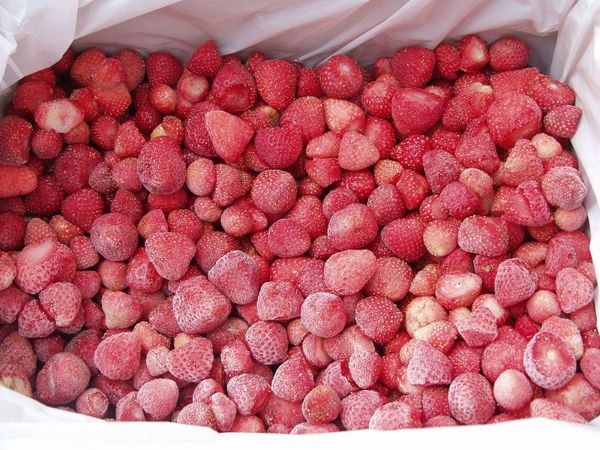 Frozen Strawberries from 보스니아-헤르체고비나 supplied by HEKO d.o.o. - Red 신선 딸기