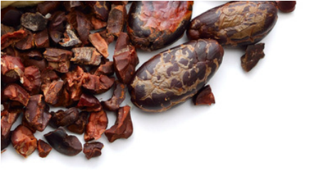 Roasted or Raw Cocoa Beans from 에콰도르 supplied by Cacaos Finos Ecuatorianos S.A. (Cafiesa S.A.) - Cocoa Nibs (=Cacao Nibs) 코코아콩