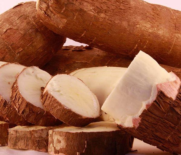 Cassava from 코스타리카 supplied by Costa Fresh - White 카사바