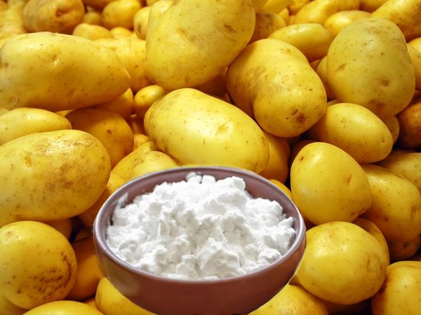Potato Starch from 러시아 supplied by Bosto Katy - For Food 감자 전분