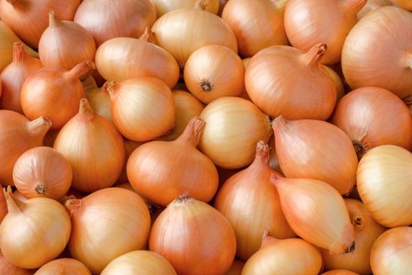 Fresh Onions from 몰도바 supplied by Mialex-Nord SRL - Whole 신선 양파