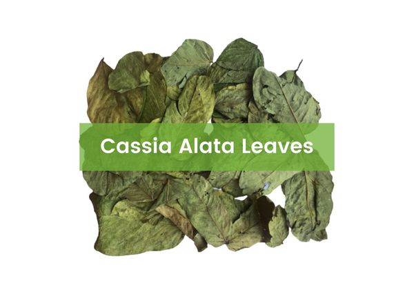 Cassia Alata Leaves from 인도 supplied by P. S. S. Krishnamurthi Exports Private Limited - Leaf 계피