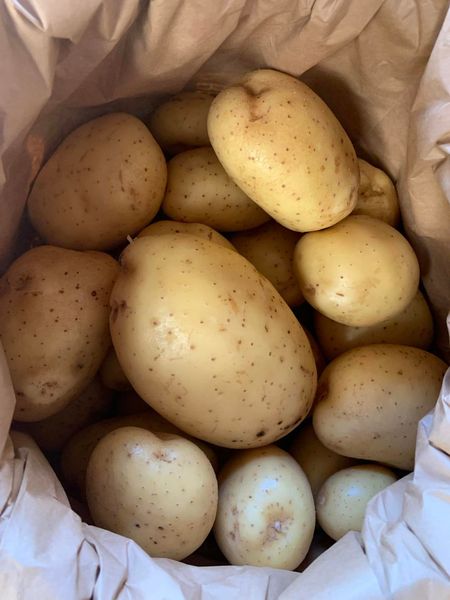 Potato from 영국 supplied by Veg UK Ltd - Whole 신선 일반 감자