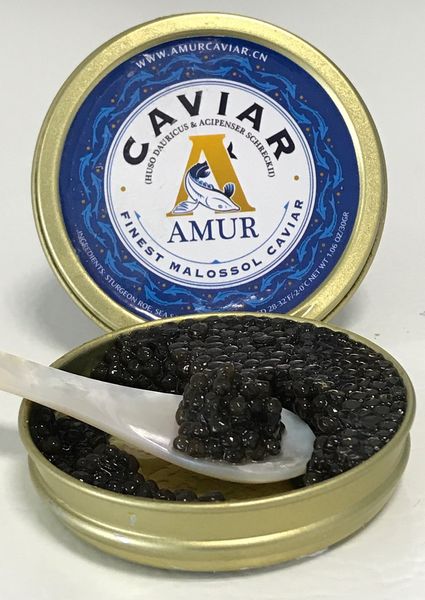 Caviar from 미국 supplied by OCEAN BLUE PRODUCTS INC - Fresh (=Chilled=Raw) 캐비아