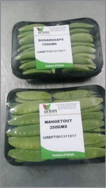 Sugar Snap from 케냐 supplied by Urban Fresh Venture - Green 말린 일반 콩