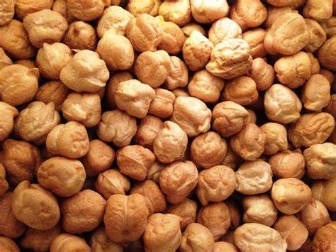 Chick Pea from United States supplied by Mills Bros with Global Harvest - Dried (=Dehydrated) Dried Chickpea