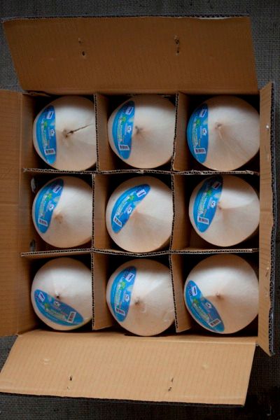 Coco Trimmed from 태국 supplied by NC COCONUT CO., LTD. - Trimmed 기타 신선 코코넛
