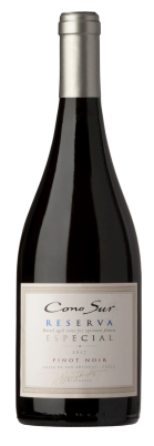 Cono Sur Reserva Especial Pinot Noir 2017 from 칠레 supplied by Cono Sur Vineyards & Winery - 레드 와인