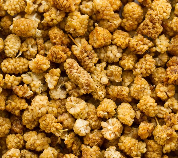 Dried White Mulberries from 튀르키예 supplied by Bata Food - TR - Organic 과일스낵