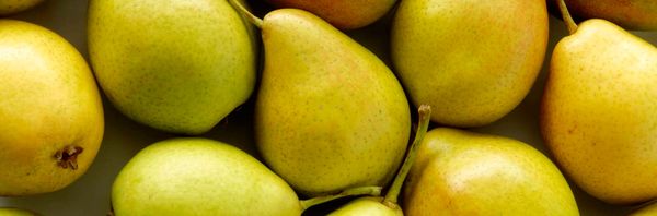 Fresh Pears from 칠레 supplied by Exportadora Fruttita Spa. - Fresh (=Chilled) 신선 배