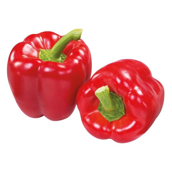 Fresh Red Bell Pepper from 포르투갈 supplied by Agro-Graça Lda - Red 신선 피망