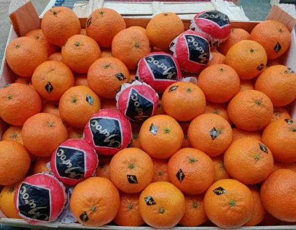 Orange from 모로코 supplied by HERBALAN - 주황색 신선 오렌지