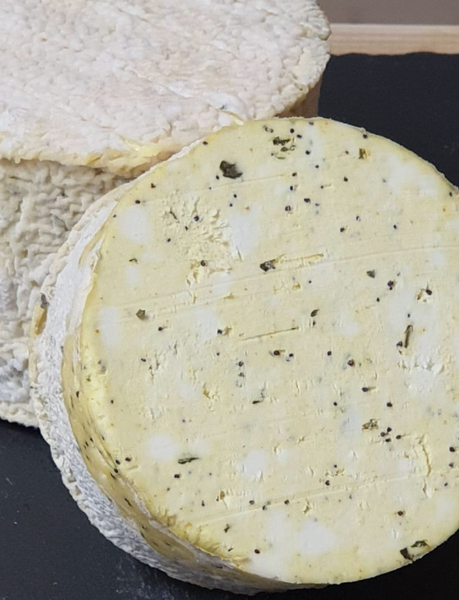 Organic Blue Cheese from 프랑스 supplied by Chèvrerie de l'Eldorado - Organic 블루 치즈