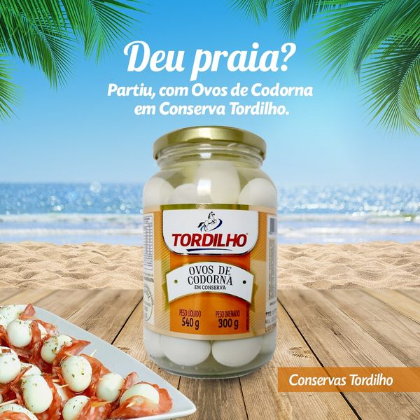 Quail Eggs in Preserved from Brazil supplied by Tordilho - Preserved Quail Egg
