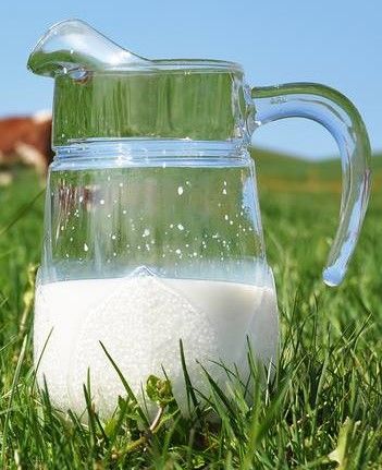 Cow Milk from Czechia supplied by Okrouhlicka Agricultural Cooperative - Liquid Cow Milk