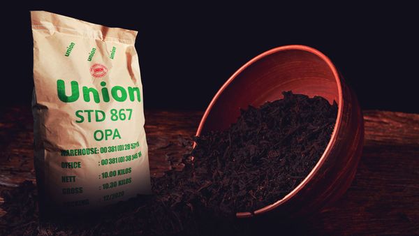 Ceylon Black Tea from 스리랑카 supplied by Black Tea Exports - Black 대용량 홍차