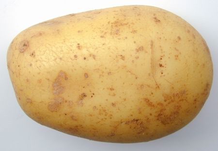 Potatoes from 파키스탄 supplied by Naqshbandi Enterprises - With Skin 신선 일반 감자