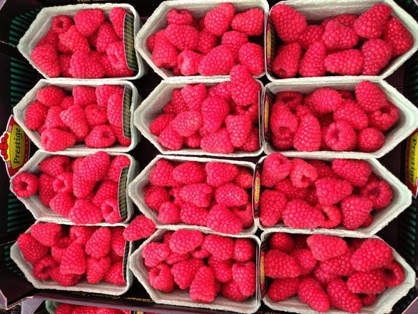 Raspberry from 프랑스 supplied by CS fruits - Small 신선 라즈베리