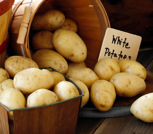 Whites from 미국 supplied by Alsum Farms & Produce Inc - With Skin 신선 일반 감자