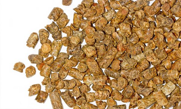 DDGS from Germany supplied by ED&F Man Deutschland GmbH - Conventional Dried Distillers Grain with Solubles (DDGS)