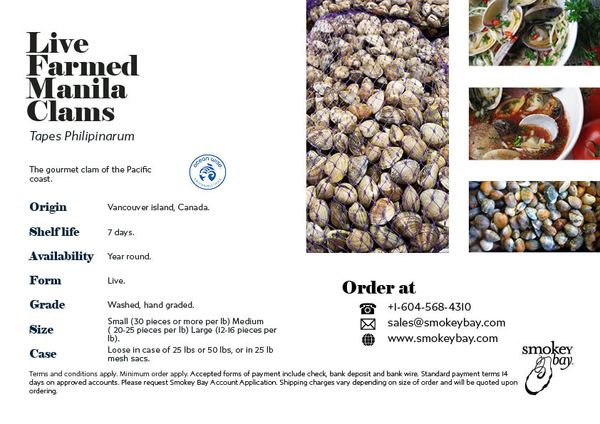Manila Clam from 캐나다 supplied by Smokey Bay Seafood Group - 냉동 조개