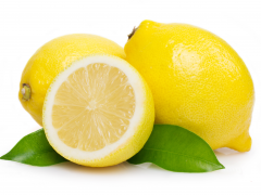 Lemon from 튀르키예 supplied by Karagozler Gida - Carton Box (=Cardboard Box) 신선 레몬