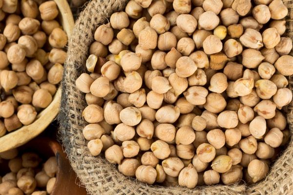 chickpea from 수단 supplied by jahjum import and export - For Food 말린 병아리콩