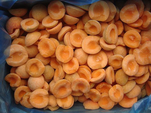 Apricot from China supplied by SFI ASIA CO LTD - Orange Fresh Plum